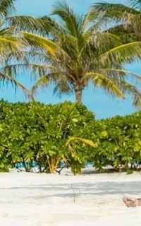 Шлюха Лика 31501