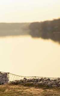 Шлюха Нелли 30160